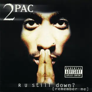 Album cover of R U Still Down? (Remember Me) (1997)